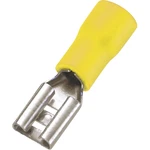 TRU COMPONENTS 1572133 faston zásuvka  Šírka zástrčky: 6.4 mm Hrúbka konektora: 0.8 mm 180 ° čiastočne izolované žltá 50