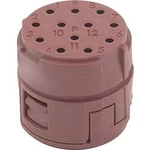 EPIC® SIGNÁL M23 P, 12pólový D-Sub LAPP 44420124, 5 ks