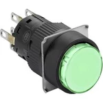 Světelné tlačítko Schneider Electric XB6EAW3B2P, 250 V, 3 A, černá, zelená, 5 ks