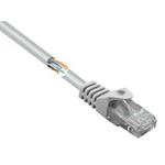Síťový kabel RJ45 Basetech BT-2268243, CAT 5e, U/UTP, 5.00 m, šedá