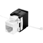 RJ45 vestavný modul Renkforce RF-4538240 Keystone CAT 6A