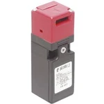 Bezpečnostní spínač Pizzato Elettrica FR 993-M2, 250 V/AC, 6 A, šroubovací