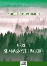 V srdci šumavských hvozdů - Karel Klostermann - e-kniha