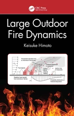 Large Outdoor Fire Dynamics