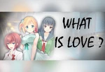 What is love? Steam CD Key
