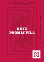 Když promluvila - Megan Twohey, Pavel Kantor - e-kniha