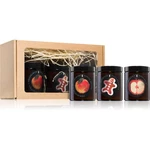 Flagolie Four Seasons Christmas Gift Set darčeková sada 1 ks