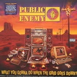 Public Enemy - What You Gonna Do When The Grid Goes Down (LP)