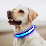 Reedog Flash USB Leuchthalsband für kleine, mittlere und große Hunde