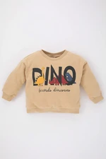 DEFACTO Regular Fit Crew Neck Sweatshirt
