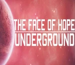 The face of hope: Underground Steam CD Key
