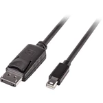 LINDY Mini-DisplayPort / DisplayPort káblový adaptér #####Mini DisplayPort Stecker, #####DisplayPort Stecker 5.00 m čier