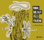 Před povodní - Anna Bolavá, Dana Černá - audiokniha