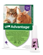 Advantage Malé Kočky 80 mg + králíci Spot-on 4 x 0.8 ml