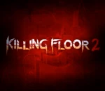 Killing Floor 2 PC Steam Account