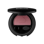 ANNEMARIE BORLIND Oční stíny (Powder Eye Shadow) 2 g Matt Truffle Plum