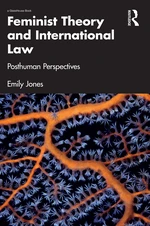 Feminist Theory and International Law