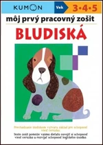 Môj prvý pracovný zošit Bludiská - Toshihiko Karakida, Yoshiko Murakami, Giovanni K. Moto