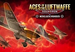 Aces of the Luftwaffe Squadron - Nebelgeschwader DLC Steam CD Key