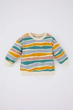 DEFACTO Regular Fit Stripe Crew Neck Sweat Shirt