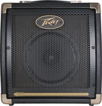 Peavey Ecoustic E20