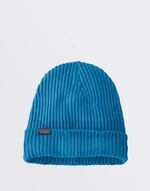 Patagonia Fisherman's Rolled Beanie Blue Bird