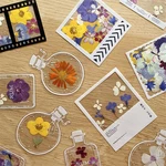 20Pcs Transparent Bookmark Dried Flower Flower Diy Handmade Sticker Pet Hand Account Diary Decoration Student Reading Mark Gift