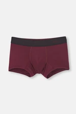 Dagi Claret Red Micro Modal Men's Boxer