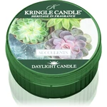 Kringle Candle Succulents čajová svíčka 42 g