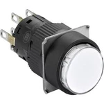 Světelné tlačítko Schneider Electric XB6EAW1B2P, 250 V, 3 A, černá, bílá, 5 ks