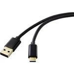 Pro mobilní telefon, notebook kabel Renkforce RF-4547682, 1.80 m, černá