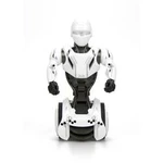 Robot Silverlit Junior 1.0 IR 88560, 8395c132
