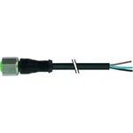 Neupravený zástrčkový konektor pro senzory - aktory Murr Elektronik 7004-12221-6140500 5.00 m, 10 ks