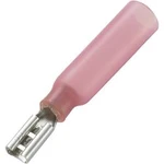 Faston zásuvka se smršťovací bužírkou Conrad Components 736109, 2.8 mm x 0.8 mm, červená, 50 ks