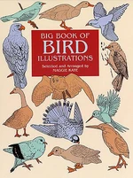 Big Book of Bird Illustrations