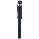 Upravený zástrčkový konektor pro senzory - aktory Belden RSM 8-354/2M 934636169-1 zástrčka, rovná, 2.00 m, 1 ks
