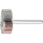 Vějířová bruska NA KŮŇ PFERD 44402246 Průměr 30 mm