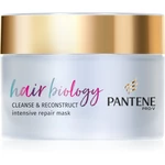 Pantene Hair Biology Cleanse & Reconstruct maska na vlasy pre mastné vlasy 160 ml
