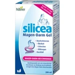 HUBNER SILICEA GASTRO-INTESTINAL GEL