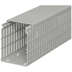 OBO Bettermann 6178439 káblový kanál  (d x š x v) 2000 x 75 x 100 mm 1 ks kamenná sivá