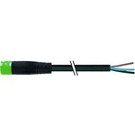 Upravený zástrčkový konektor pro senzory - aktory Murr Elektronik 7000-P8121-P010200 zásuvka, rovná, 2.00 m, 1 ks