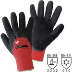 Pracovní rukavice L+D worky Glacier Grip 14933-XL, velikost rukavic: 10, XL