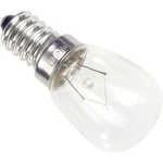 Žárovka hruška Barthelme 00982425, 24 V, 25 W, 1 ks