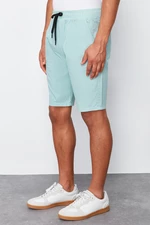 Trendyol Mint Regular Fit Lace Waist Summer Shorts