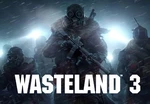 Wasteland 3 Steam Account
