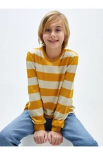 LC Waikiki Lcwk Crew Neck Striped Long Sleeve Boy's Knitwear Sweater LC Waikiki Lcwk Crew Neck Striped Long Sleeve Boy's Knitwear Sweater