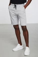 GRIMELANGE Camillo Straight Regular Light Gray Shorts & Bermuda