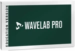 Steinberg Wavelab Pro 12 EDU Software de mastering