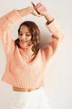 Lafaba Women's Onion Skin Wide Ribbed Turtleneck Knitwear Crop Sweater