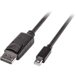 LINDY Mini-DisplayPort / DisplayPort káblový adaptér #####Mini DisplayPort Stecker, #####DisplayPort Stecker 2.00 m čier